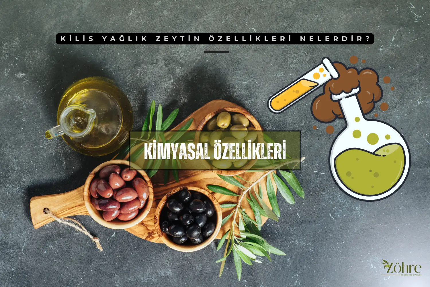 kilis yağlık zeytin özellikleri